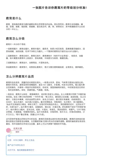 一张图片告诉你鹿茸片的等级划分标准!