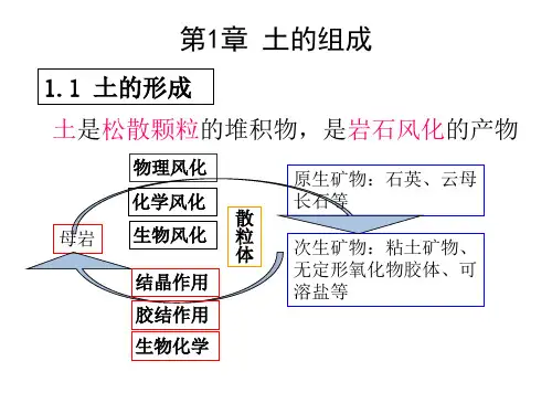 土力学基本知识ppt课件