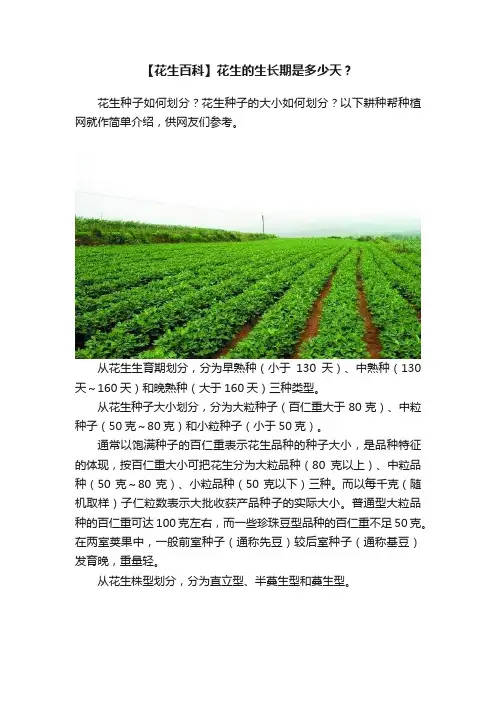 【花生百科】花生的生长期是多少天？