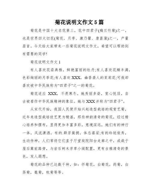 菊花说明文作文5篇