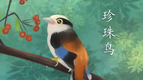 4《珍珠鸟》课件(共45张PPT)