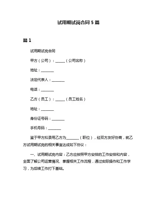 试用期试岗合同5篇