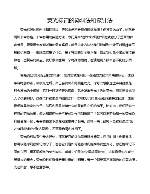 荧光标记的染料法和探针法