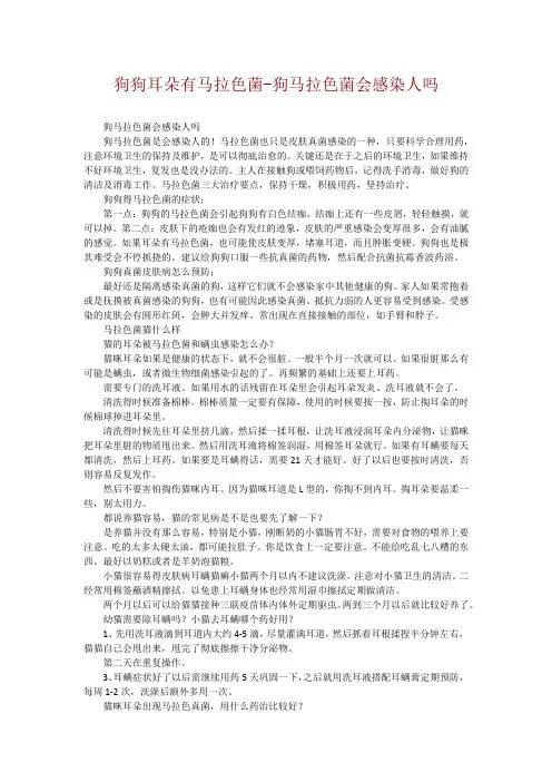 狗狗耳朵有马拉色菌-狗马拉色菌会感染人吗