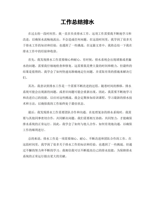 工作总结排水