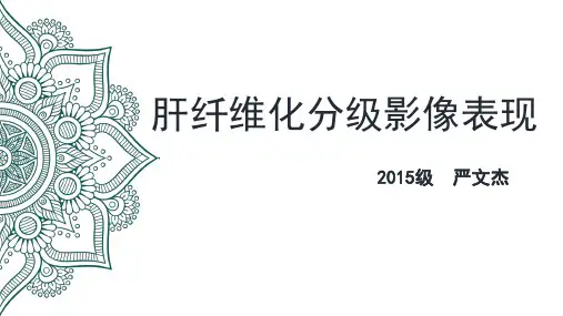 肝纤维化分级影像表现