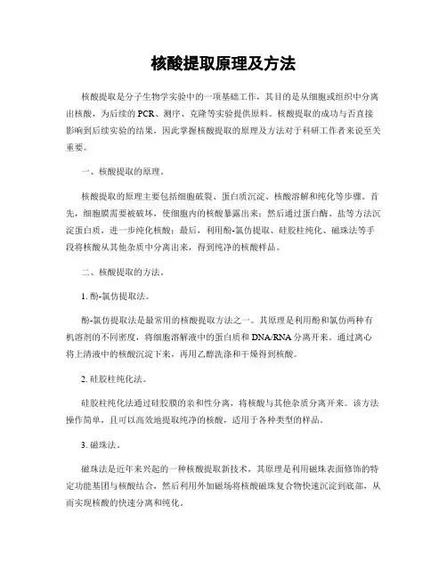 核酸提取原理及方法