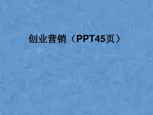 创业营销(PPT45页)