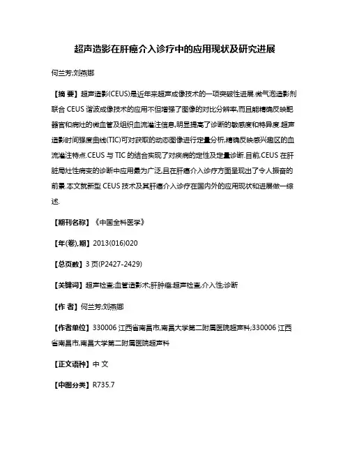 超声造影在肝癌介入诊疗中的应用现状及研究进展
