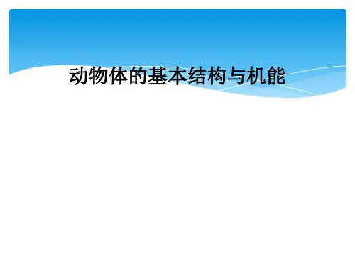 动物体的基本结构与机能