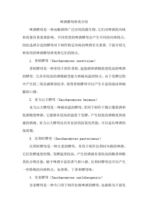 啤酒酵母种类介绍