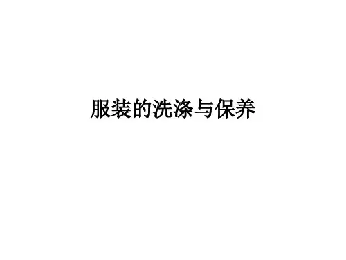 服装的洗涤与保养ppt课件