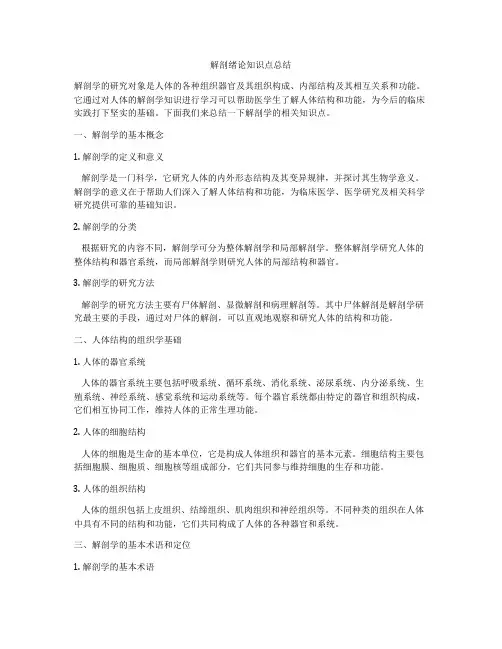 解剖绪论知识点总结
