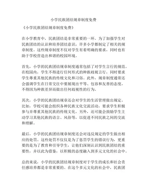 小学民族团结规章制度免费