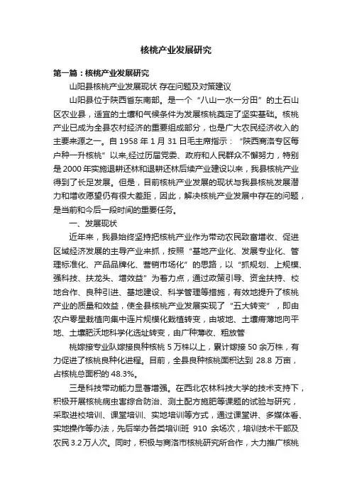 核桃产业发展研究