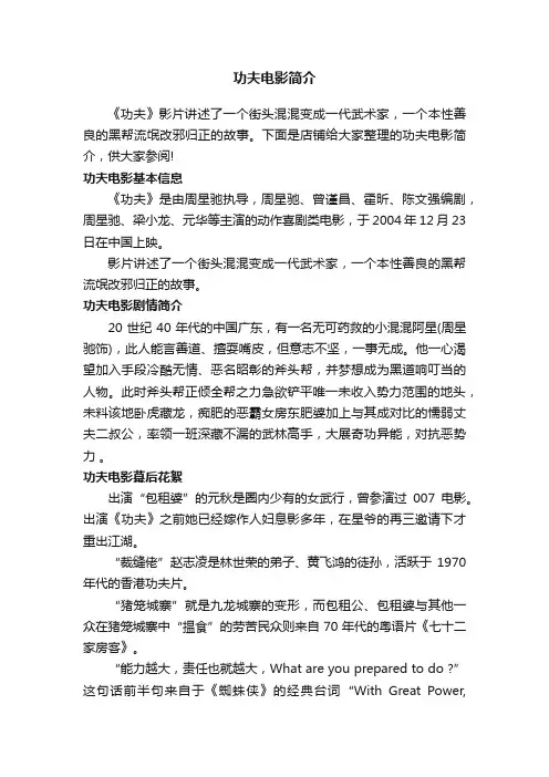 功夫电影简介