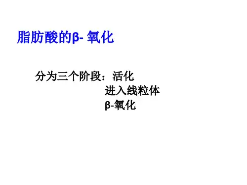 脂酸β氧化