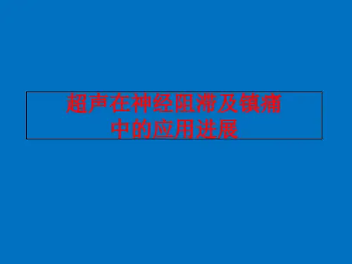 超声在神经阻滞及镇痛中的应用进展.课件