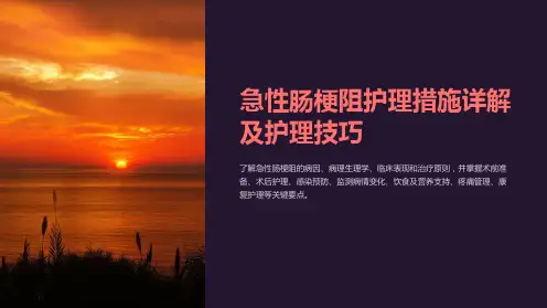“急性肠梗阻护理措施详解及护理技巧”
