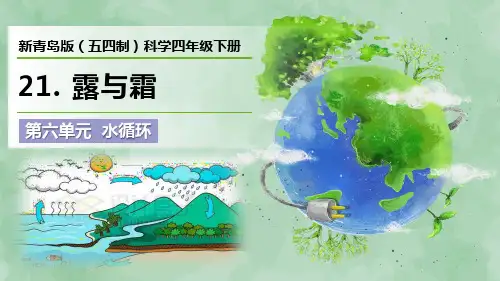 新青岛版(五四制)科学四年级下册第六单元 水循环《露和霜》优质课件