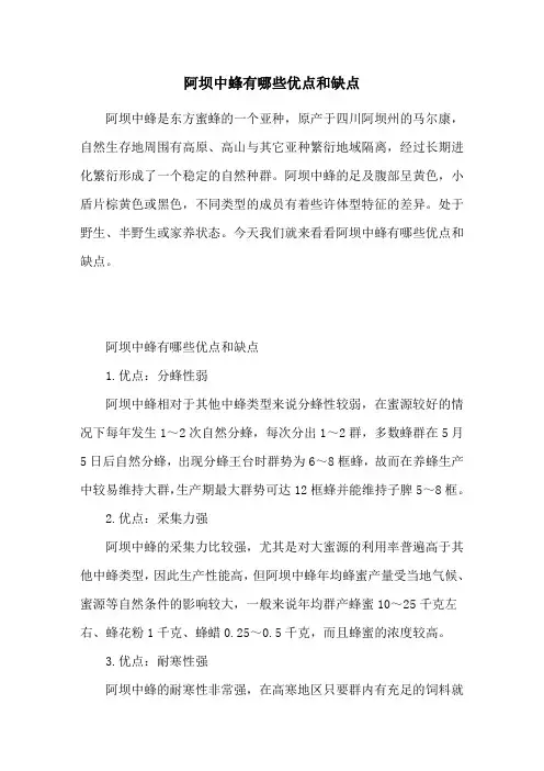 阿坝中蜂有哪些优点和缺点