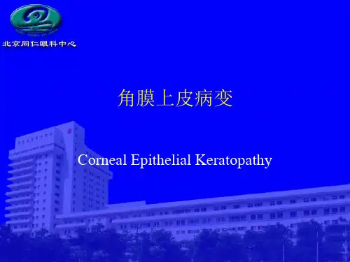 角膜上皮病变