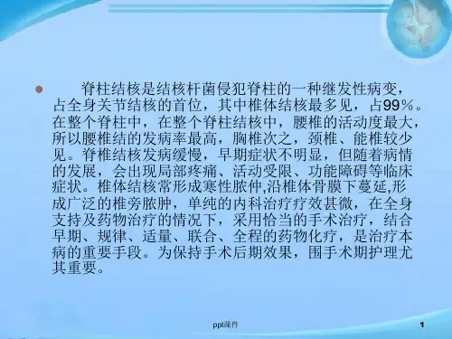 脊柱结核的围手术期护理ppt课件