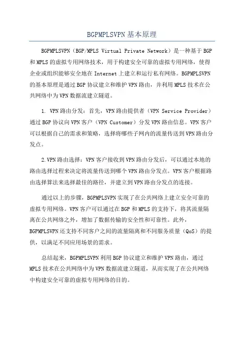 BGPMPLSVPN基本原理