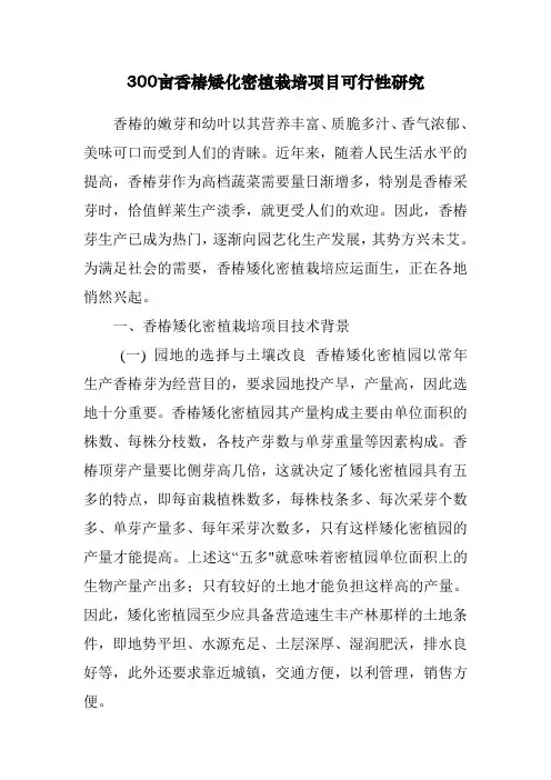 300亩香椿矮化密植栽培项目可行性研究