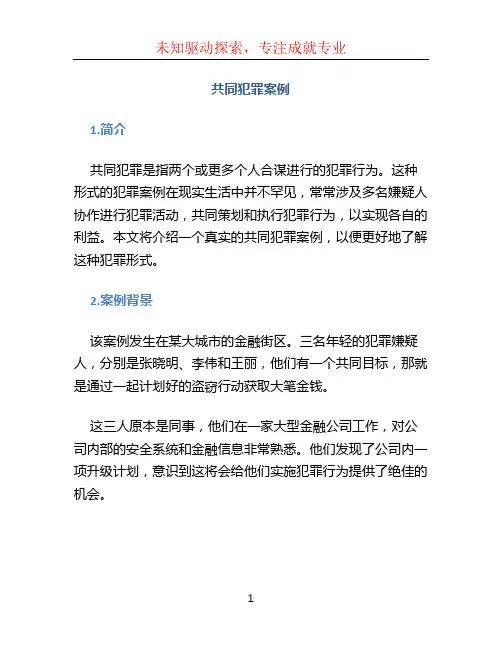 共同犯罪案例 (2)