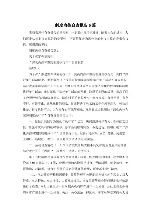 制度内控自查报告6篇