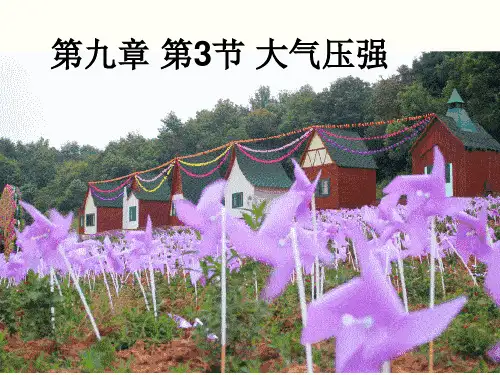 2022-2023学年人教版物理八年级下册 第九章 第3节 大气压强 课件PPT