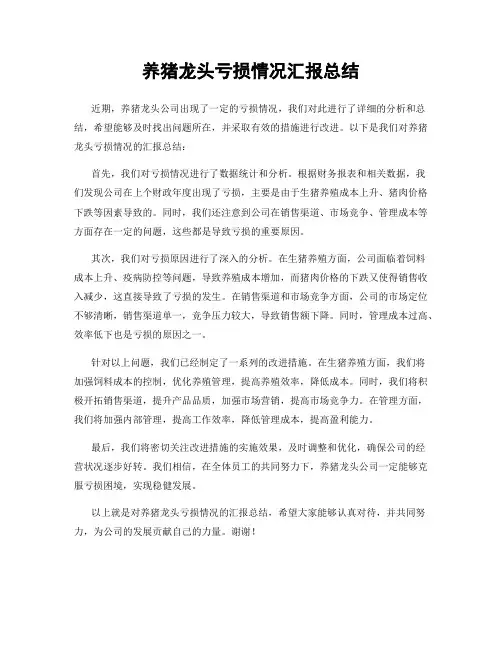 养猪龙头亏损情况汇报总结
