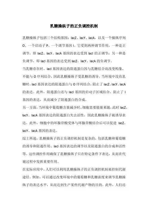 乳糖操纵子的正负调控机制