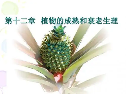 植物生理学 第十二章 植物的成熟和衰老生理