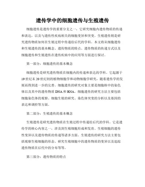遗传学中的细胞遗传与生殖遗传