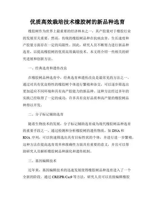 优质高效栽培技术橡胶树的新品种选育