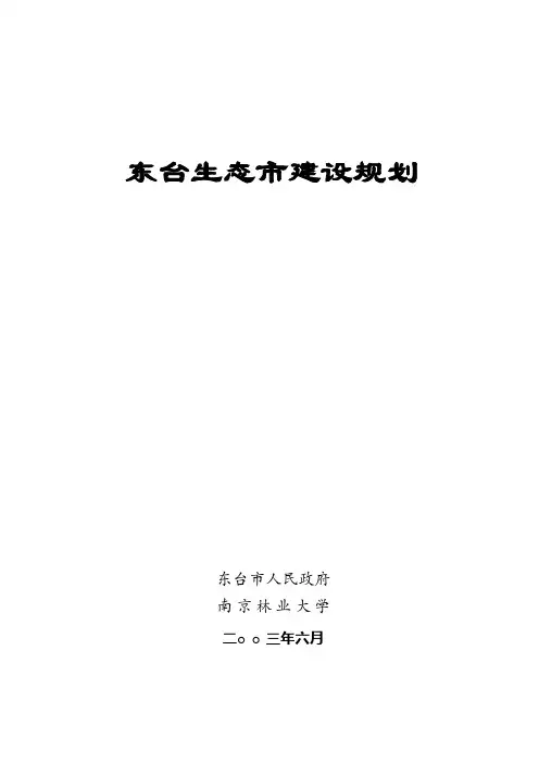 东台总体规划正文