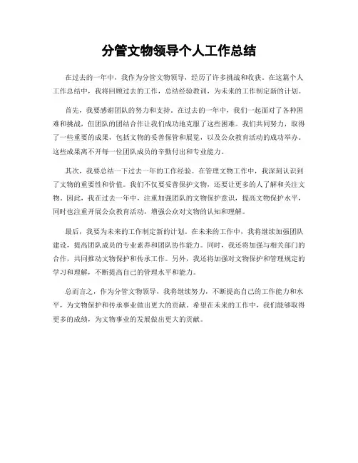 分管文物领导个人工作总结