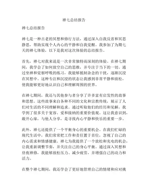 禅七总结报告
