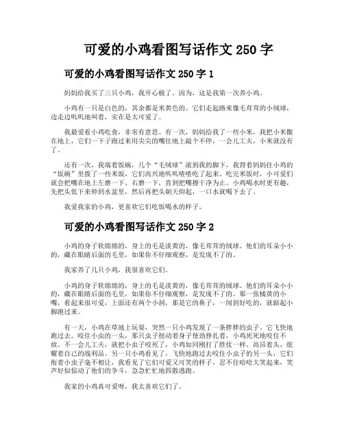 可爱的小鸡看图写话作文250字