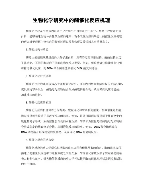 生物化学研究中的酶催化反应机理