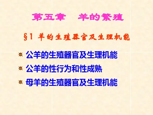 第五章 羊的繁殖