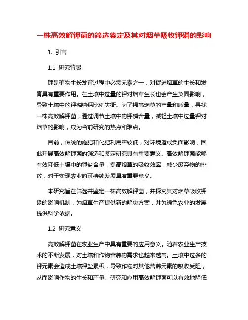 一株高效解钾菌的筛选鉴定及其对烟草吸收钾磷的影响