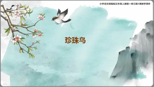 《珍珠鸟》课件(共39张PPT)