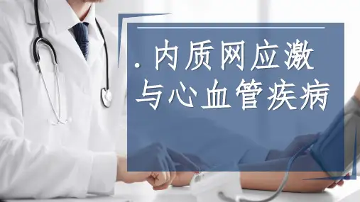 内质网应激与心血管疾病