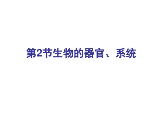 北师大版生物七年级上册《生物体的器官、系统》(第1课时)