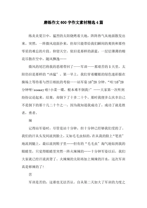 磨练作文600字作文素材4篇精选