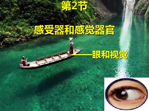 北师大版生物七年级下册12.2《感觉器和感觉器官-眼和视觉》教学课件(共32张PPT)