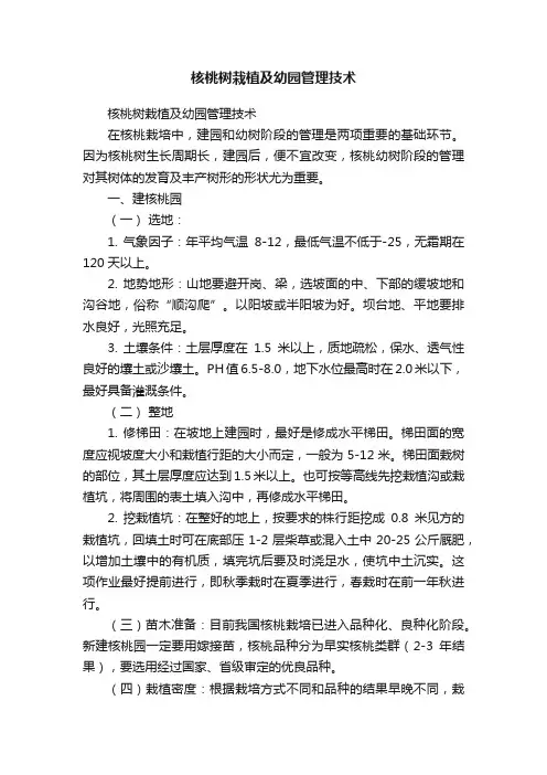 核桃树栽植及幼园管理技术